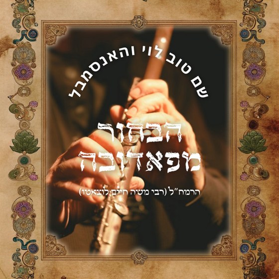 The Young Man from Padua cover artwork